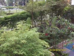the-ford-@-holland photo thumbnail #16
